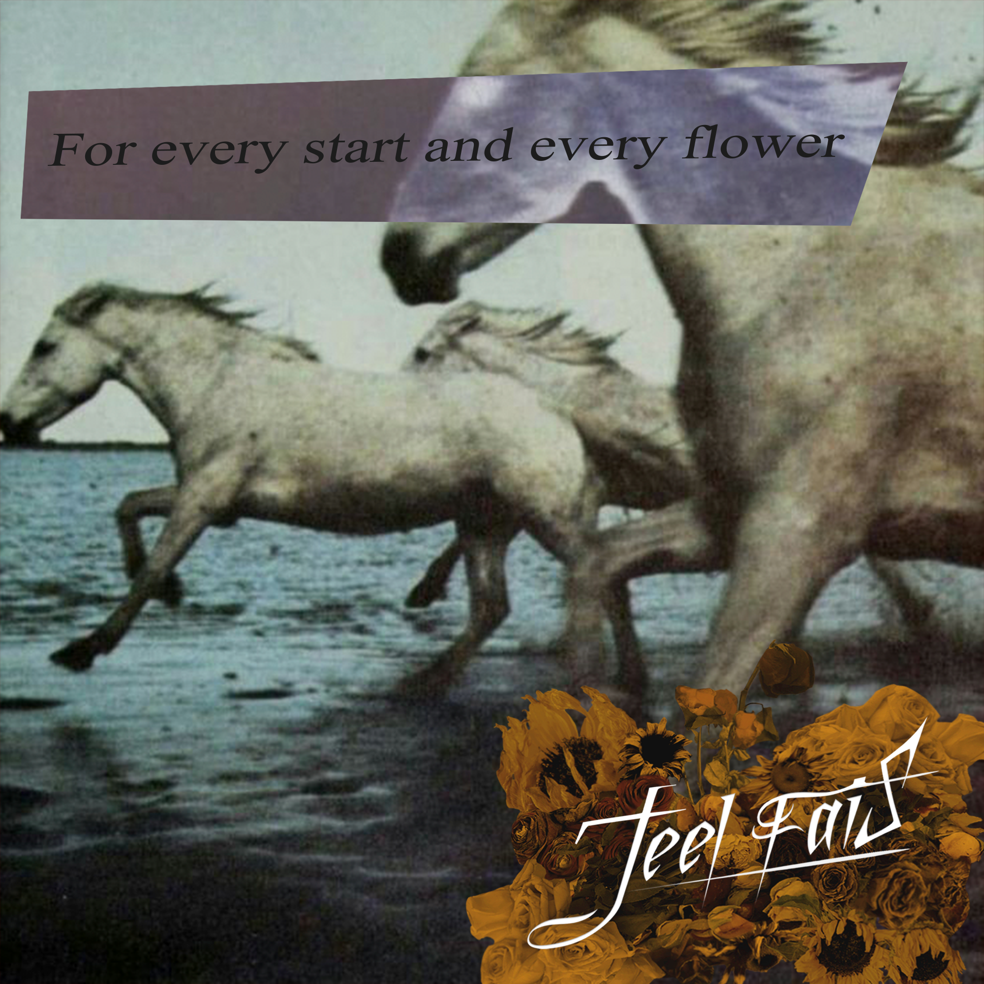 For every start and every flower